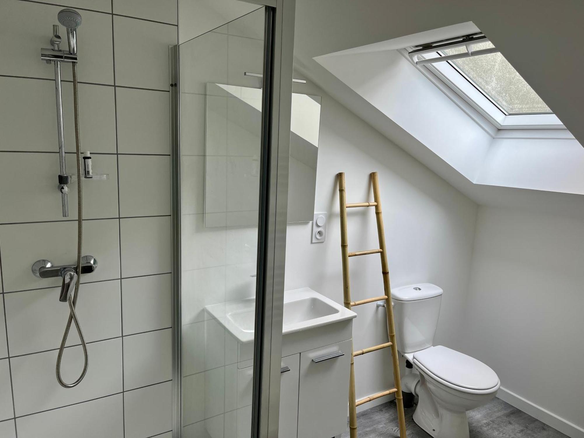 2 Suites, Cour Privee, Climatisation, Le Nid De Blois Vienne Bagian luar foto