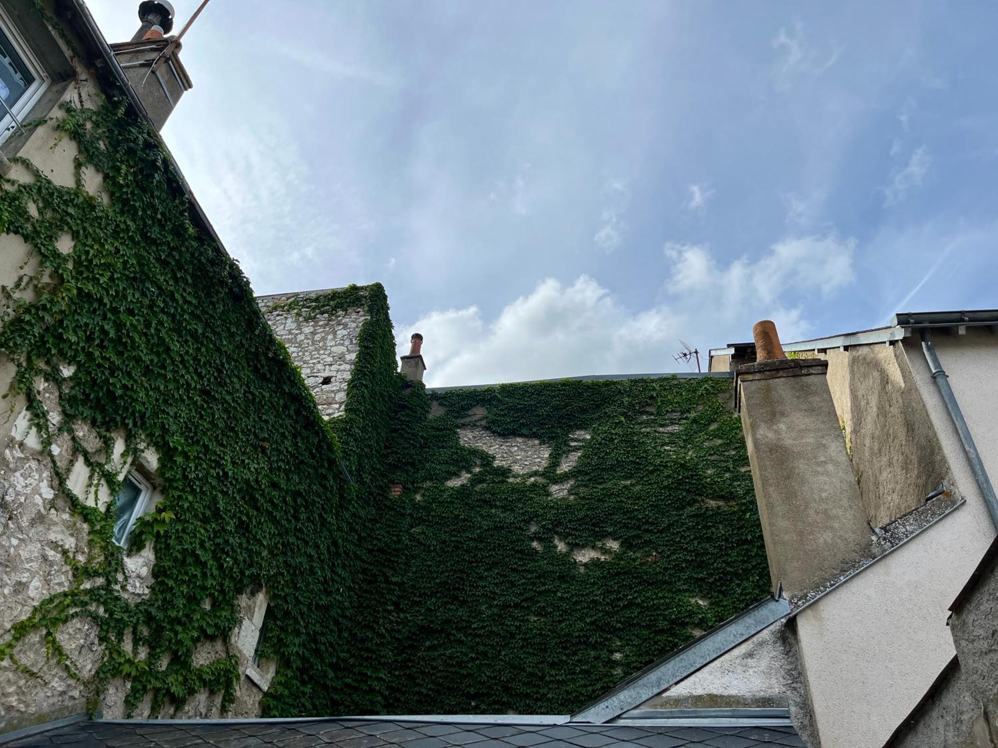 2 Suites, Cour Privee, Climatisation, Le Nid De Blois Vienne Bagian luar foto