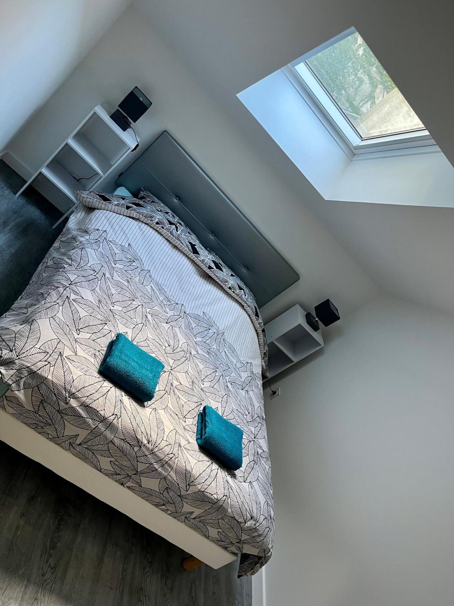 2 Suites, Cour Privee, Climatisation, Le Nid De Blois Vienne Bagian luar foto